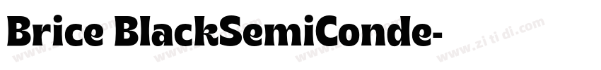 Brice BlackSemiConde字体转换 Brice BlackSemiConde字体转换